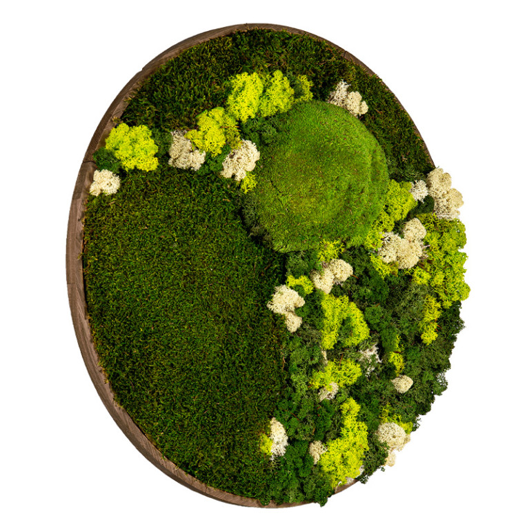 Mosschilderij Rond 100 cm Donker Eiken - Floro - Zijaanzicht