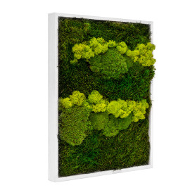 Mos Schilderij Lappenmos-Rendiermos-Bolmos Gebroken Wit Skive Lentegroen - Zijaanzicht