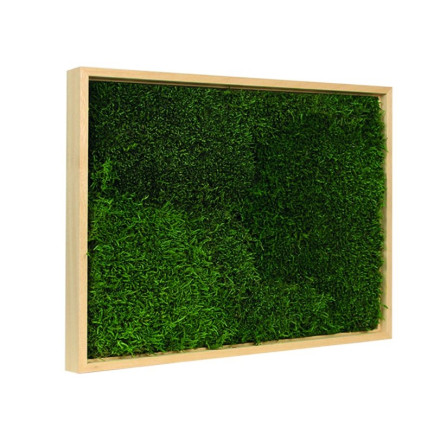 Mos Schilderij Lappenmos Blank Hout