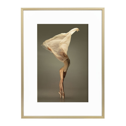 Wissellijst Champagne A4 - Art Print en Passe Partout