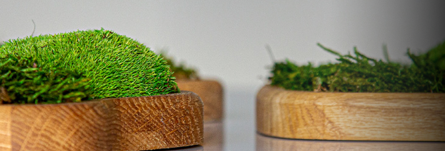Sfeerimpressie maatwerk moswand