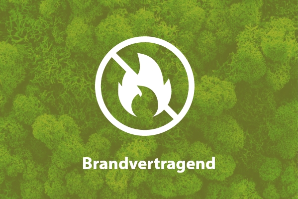 Brandvertragend