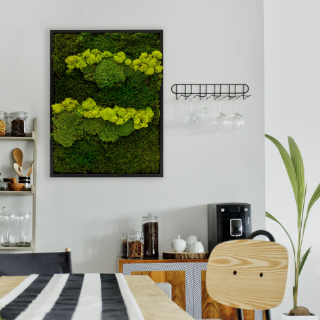 Sfeerimpressie Mos Schilderij Lappenmos - Rendiermos - Bolmos zwart